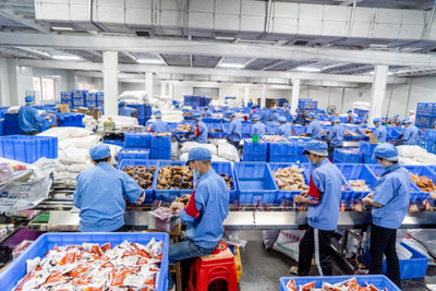 2000萬袋螺螄粉備戰天貓雙11 銷售額暴增四倍與家用電器零配件銷售熱潮共舞